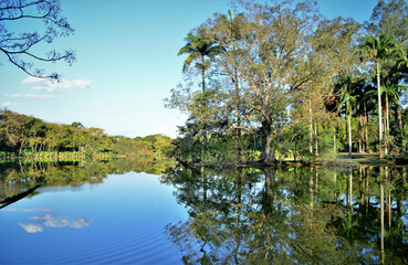 Reflexo da natureza na água do lago do parque da cidade