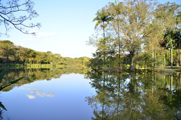 Fim de tarde no lago do parque da cidade de São José dos Campos