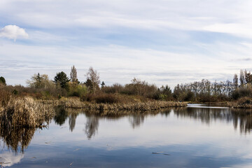 small pond in Terra Nova Rural Park Richmond British Columbia in sunny day.