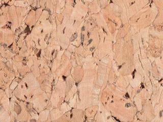Cork Background