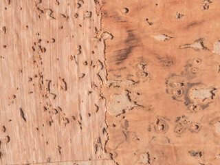 Cork Background