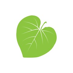 A leaf illustration.