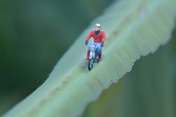 Miniature figures rider  motor cycle in tropical garden 
