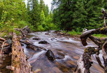 Flowing Water over rocks and tree on Fish Creek in Glacier National Park