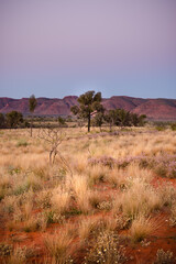Fototapeta premium MacDonnell Ranges at sunset