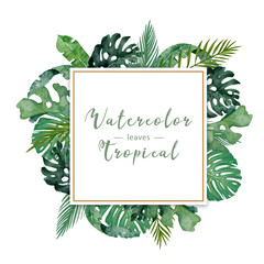 Adorable floral exotic horizontal square frame with pink flowers, tropical leaves. Hand drawn watercolor isolated illustration on white background