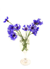 Fototapeta premium photos of blue flowers bouquet of cornflowers in a vase, isolate on a white background