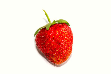 Strawberry closeup isolate on a white background