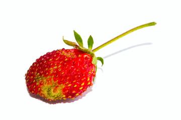Strawberry closeup isolate on a white background