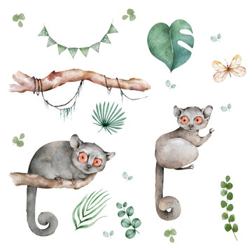 Mouse Lemur wildlife with tropical flowers Hand drawn watercolor isolated illustration on white background