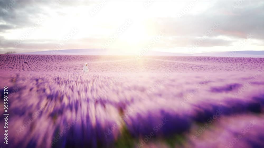 Poster astronaut with butterflies in lavender field. concept of future. broadcast. realistic 4k animation.