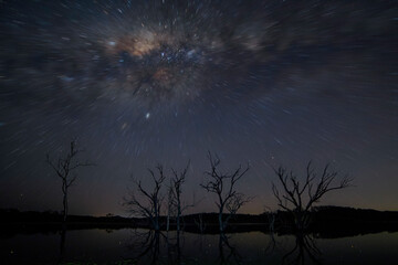 Milkyway radial blur in the sky over dead trees in dam water