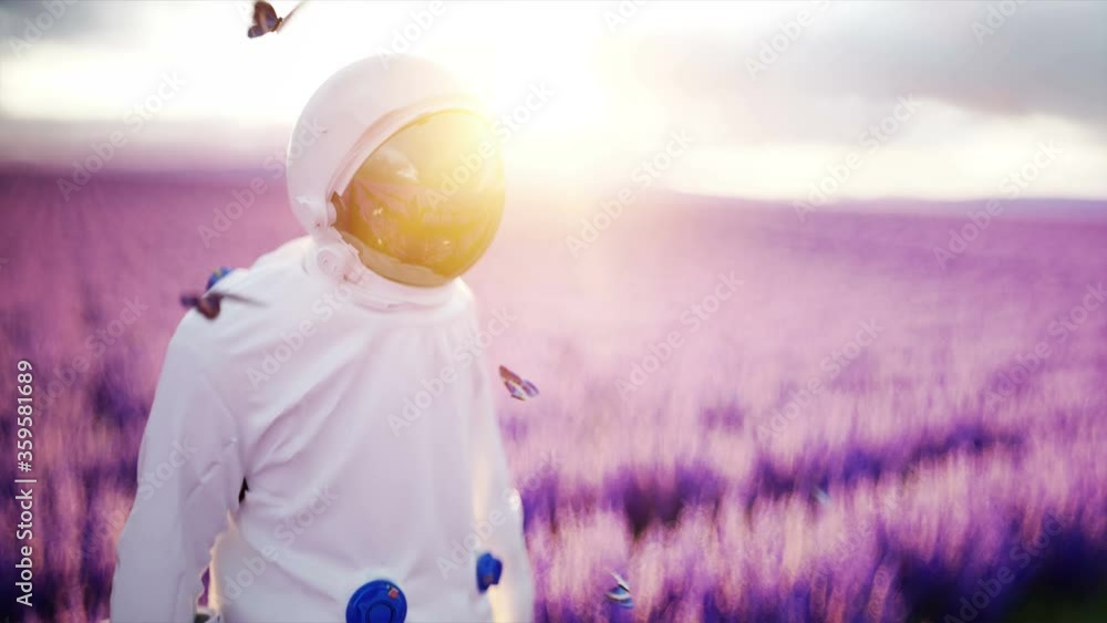 Poster astronaut with butterflies in lavender field. concept of future. broadcast. realistic 4k animation.