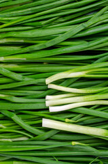 Background green onion leaves.