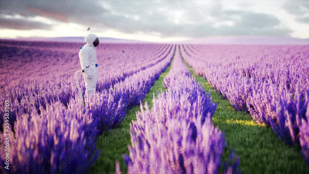 Sticker astronaut with butterflies in lavender field. concept of future. broadcast. realistic 4k animation.