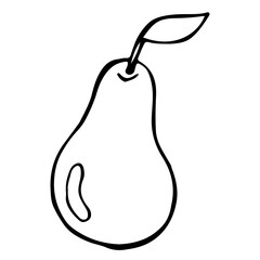  pear fruit with leaf