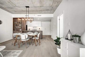 Brand new luxury Canadian style furnished and staged apartment in condominium with lobby, hall, reception room and gym, Beautiful Modern Staged Apartment North American Style, Open Concept