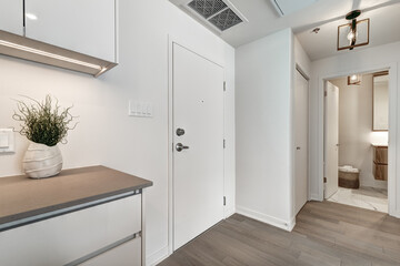 Brand new luxury Canadian style furnished and staged apartment in condominium with lobby, hall,...