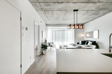 Brand new luxury Canadian style furnished and staged apartment in condominium with lobby, hall, reception room and gym, Beautiful Modern Staged Apartment North American Style, Open Concept