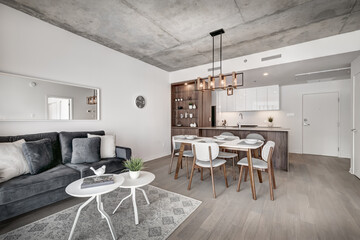 Brand new luxury Canadian style furnished and staged apartment in condominium with lobby, hall, reception room and gym, Beautiful Modern Staged Apartment North American Style, Open Concept