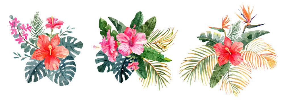 Set of tropical exotic bouquets with hibiscus flowers, butterfly tree flowers, bird in paradise and banana leaves, monstera and palm leaves. Hand drawn watercolor illustration. Hawaiian mood