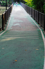 Obraz premium A Bicycle Lane in a Park