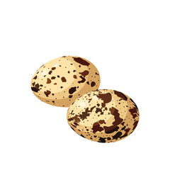 Quail eggs with spotted shell. Vector illustration flat icon isolated on white background.