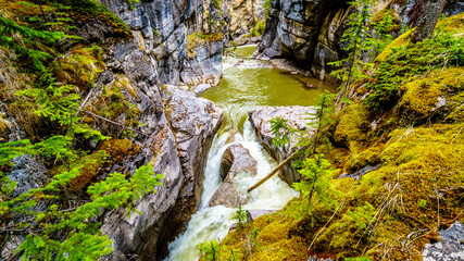 The turbulent waters of the Maligne Canyon flowing through the deep Maligne Canyon in Jasper National Park, Alberta, Canada