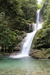 Fototapeta na wymiar Green Waterfall