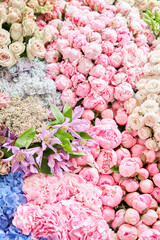 Floral carpet or Wallpaper. Background of mix of flowers. Beautiful flowers for catalog or online store. Floral shop and delivery concept. Top view. Copy space