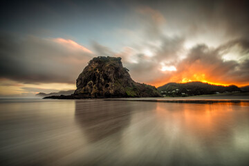 Piha Beach Lion Rock Auckland New Zealand Sunrise