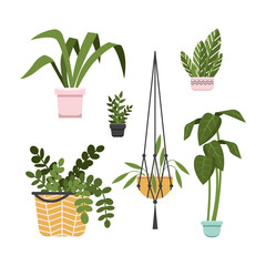 Fototapeta na wymiar Set of house plants in pots. Collection of different decor house. Plants decorative container and hanging styling indoor basket for potting tree urban garden. Flat cartoon vector illustration.