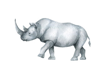 Watercolor rhinoceros. Wild african animal. Savannah rino for posters, card, decoration, scrapbooking. Exotic animal.