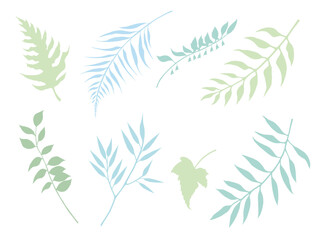 Vector leaf and branch set. Light green and mint colours. Isolated floral elements