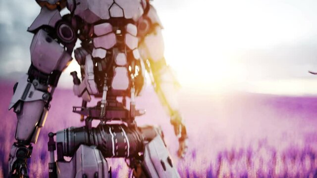 Military robot, cyborg with gun in lavender field. concept of the future. Realistic 4k animation.