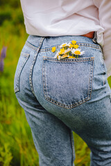 chamomile in woman back pocket
