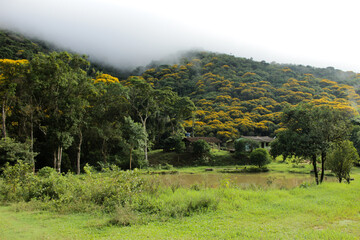 Trilha no rio Betary no parque estadual Petar no vale do ribeira estado de são paulo brazil, com...