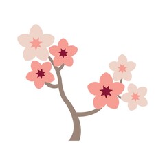 Sakura flowers tree