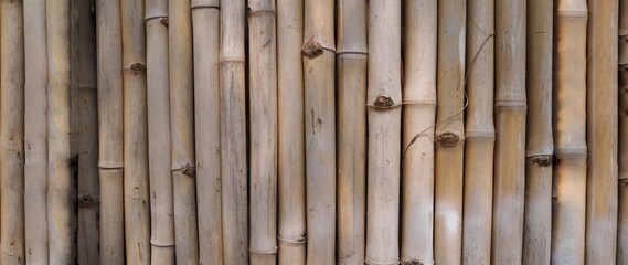 Bamboo vintage wooden background with channel of sunlight thru leaf