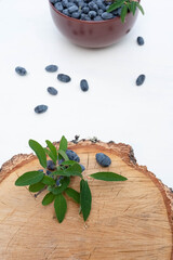 A plate with blue fresh berries of Siberian honeysuckle on a white and wooden background.