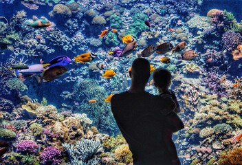 Aquarium im Rostocker Zoo - Vater und Sohn entdecken Fische im Korallenriff