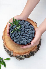 A plate with blue fresh berries of Siberian honeysuckle on a white and wooden background.