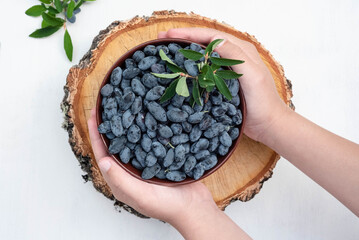 A plate with blue fresh berries of Siberian honeysuckle on a white and wooden background.