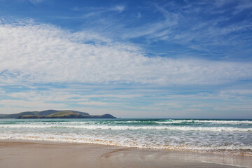 New Zealand coast