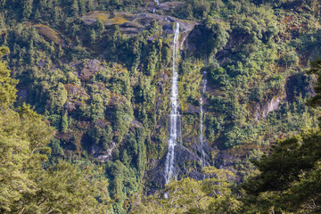 New Zealand waterfall - obrazy, fototapety, plakaty