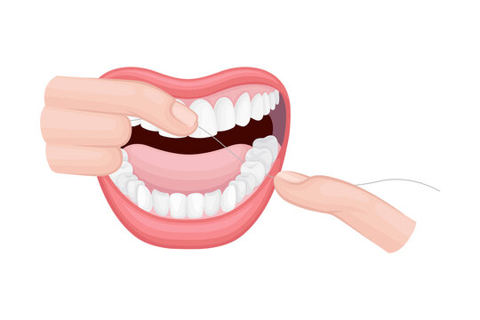 recommend clip art: Open Mouth with Dental Floss Cleaning Teeth Vector Illustration