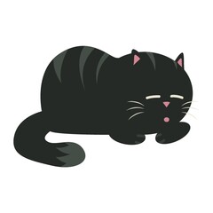 Black cat sleeping