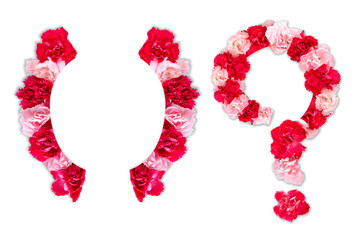 flower font for symbol bracket, question mark (collection alphabet A-Z set), made from real Carnation flowers pink, red color with paper cut shape of capital letter. flora font for text, typography