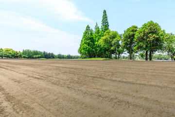 Rural dirt road ground and green forest in a sunny day.