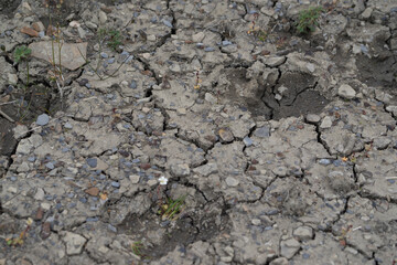 Dry permafrost ground in the Arctic desert on Spitsbergen. Cracks in the brown soil. Harsh surviving conditions for plants.